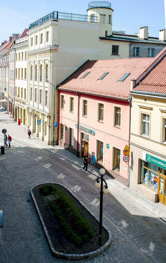 Super Komfortowe Mieszkanie - Mtb Narty Gory Sowie Dzierżoniów Kültér fotó